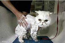 Wet Wipes For Babies